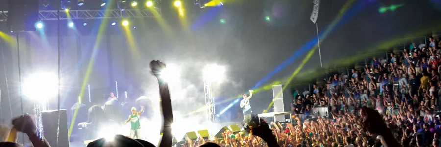 Large crowd at a concert